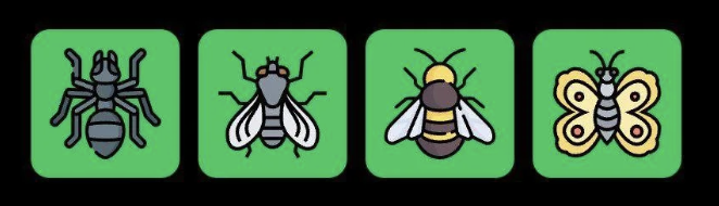 FLIES Daily Combo 17 September 2025