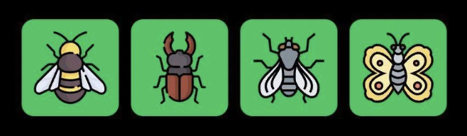 Screenshot 2025-09-18 at 10.45.51 AM FLIES Daily Combo 18 September 2025
