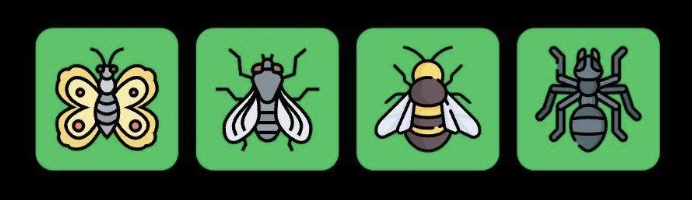 FLIES Daily Combo 19 September 2025