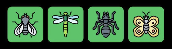 FLIES Daily Combo 22 September 2025