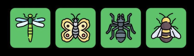 FLIES Daily Combo 23 September 2025