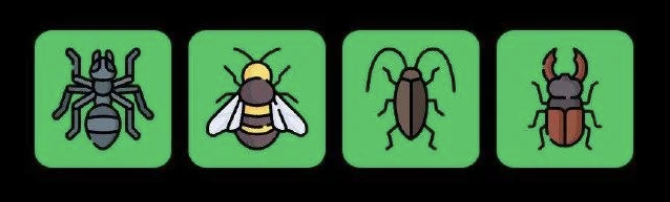 FLIES Daily Combo 24 September 2025