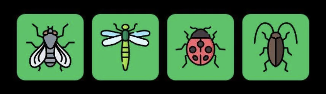 FLIES Daily Combo 25 September 2025