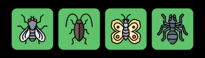 FLIES Daily Combo 26 September 2025