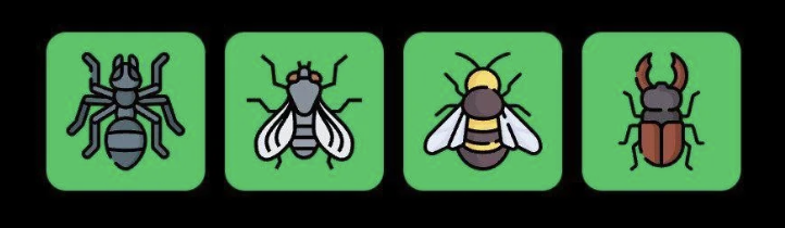 FLIES Daily Combo 27 September 2025