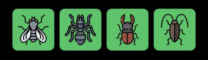 FLIES Daily Combo 29 September 2025