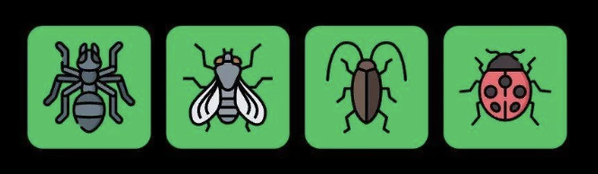 FLIES Daily Combo 30 September 2025