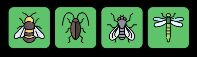 FLIES Daily Combo 1 October 2025