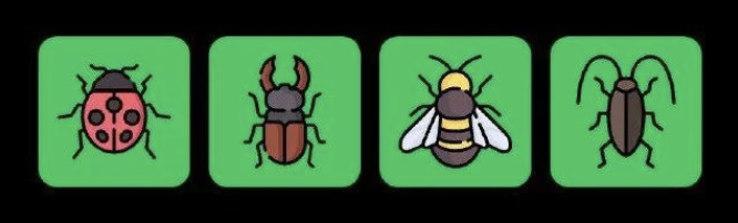 FLIES Daily Combo 3 October 2025