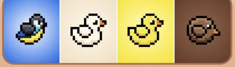 BIRD Daily Combo 4 October 2025