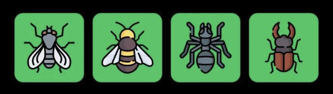 Screenshot 2025-10-04 at 10.10.22 AM FLIES Daily Combo 4 October 2025