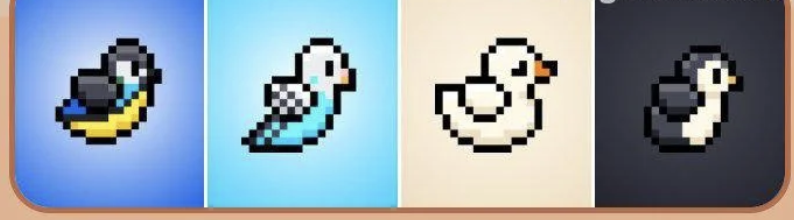 BIRD Daily Combo 5 October 2025