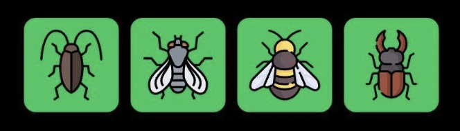 FLIES Daily Combo 5 October 2025