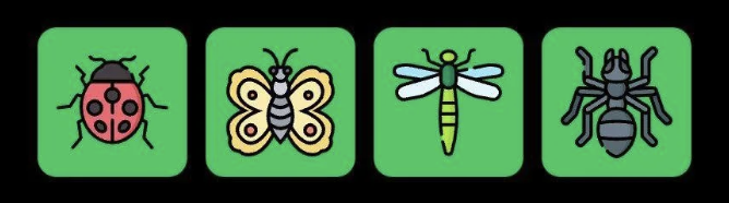 FLIES Daily Combo 6 October 2025