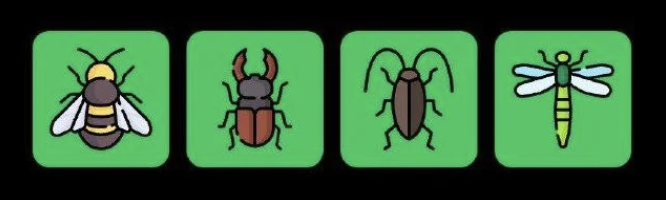 FLIES Daily Combo 7 October 2025