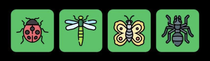 FLIES Daily Combo 8 October 2025