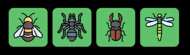 FLIES Daily Combo 9 October 2025