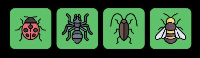 Screenshot 2025-10-12 at 10.34.22 AM FLIES Daily Combo 12 October 2025