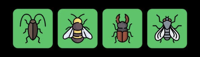 Screenshot 2025-10-15 at 11.02.27 AM FLIES Daily Combo 15 October 2025