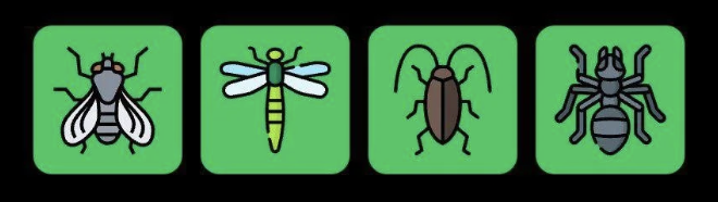 Screenshot 2025-10-16 at 10.39.32 AM FLIES Daily Combo 16 October 2025