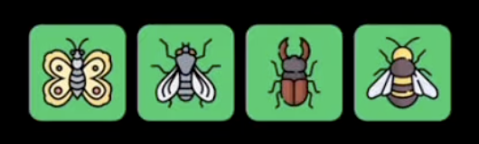 Screenshot 2025-10-17 at 11.25.14 AM FLIES Daily Combo 17 October 2025