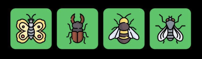 Screenshot 2025-10-19 at 11.17.50 AM FLIES Daily Combo 19 October 2025