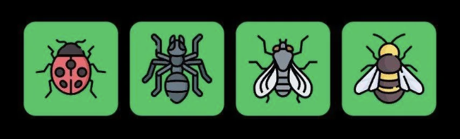 Screenshot 2025-10-20 at 10.01.17 AM FLIES Daily Combo 20 October 2025