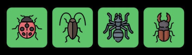 Screenshot 2025-10-26 at 9.22.41 AM FLIES Daily Combo 26 October 2025