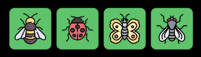 Screenshot 2025-10-29 at 10.21.07 AM FLIES Daily Combo 29 October 2025