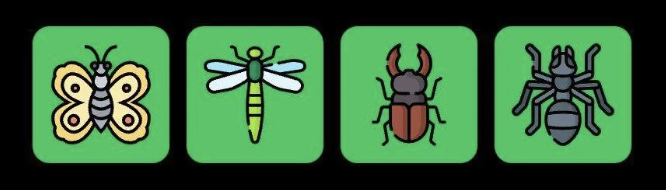 FLIES Daily Combo 30 October 2025