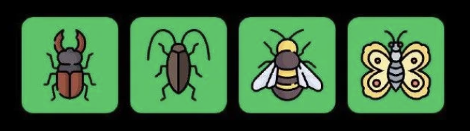 FLIES Daily Combo 1 November 2025