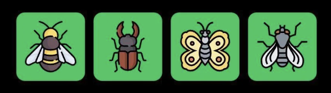 Screenshot 2025-11-02 at 10.51.28 AM FLIES Daily Combo 2 November 2025