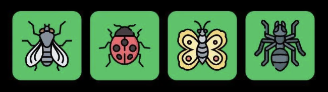 FLIES Daily Combo 3 November 2025