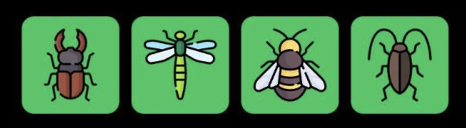 FLIES Daily Combo 5 November 2025