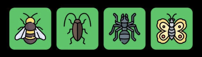 Screenshot 2025-11-06 at 10.17.52 AM FLIES Daily Combo 6 November 2025