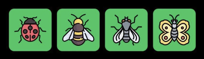 Screenshot 2025-11-07 at 12.44.41 PM FLIES Daily Combo 7 November 2025