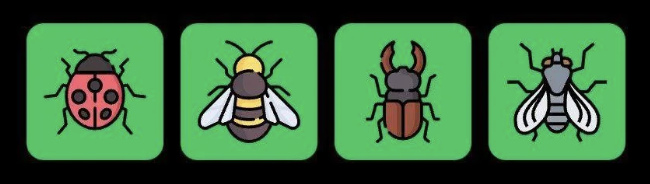 Screenshot 2025-11-08 at 11.30.02 AM FLIES Daily Combo 8 November 2025