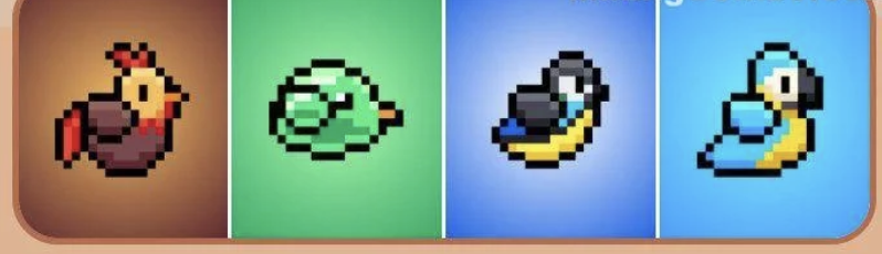 BIRD Daily Combo 9 November 2025