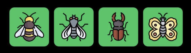 FLIES Daily Combo 9 November 2025