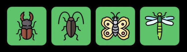 FLIES Daily Combo 10 November 2025