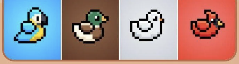 BIRD Daily Combo 11 November 2025