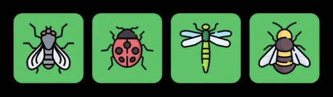 Screenshot 2025-11-11 at 9.35.29 AM FLIES Daily Combo 11 November 2025