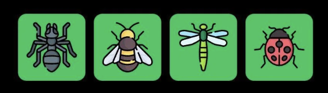 FLIES Daily Combo 12 November 2025