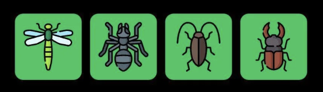 FLIES Daily Combo 13 November 2025