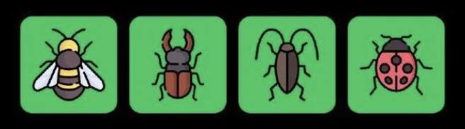 FLIES Daily Combo 14 November 2025