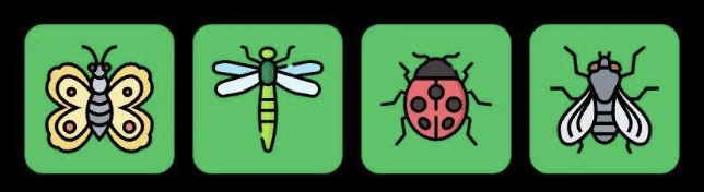 Screenshot 2025-11-16 at 10.14.27 AM FLIES Daily Combo 16 November 2025