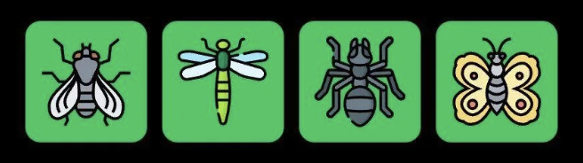 Screenshot 2025-11-17 at 10.30.18 AM FLIES Daily Combo 17 November 2025