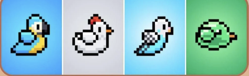 BIRD Daily Combo 19 November 2025