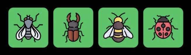 Screenshot 2025-11-19 at 9.24.18 AM FLIES Daily Combo 19 November 2025