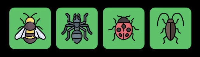 Screenshot 2025-11-20 at 10.50.18 AM FLIES Daily Combo 20 November 2025